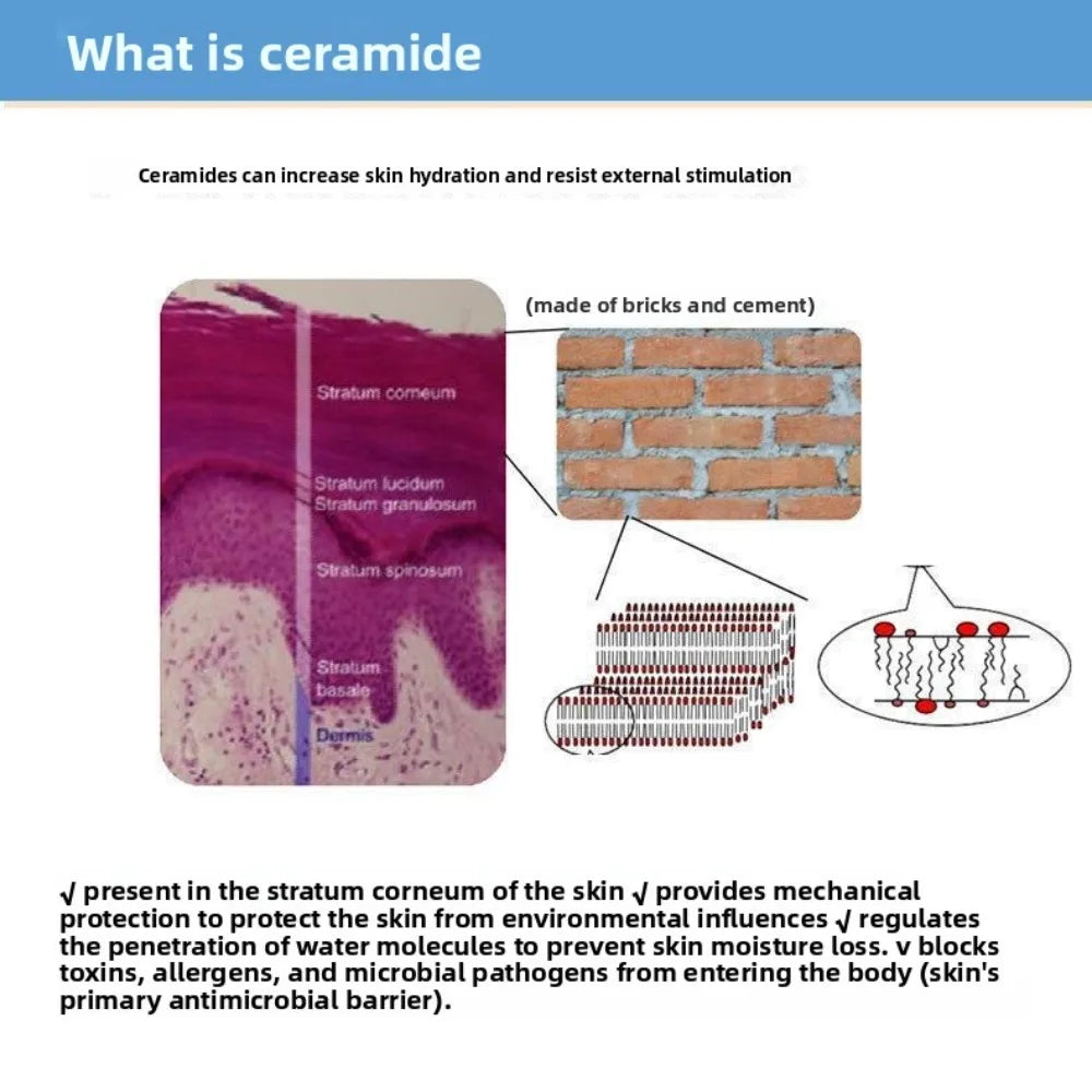 Cosmetic Grade Ceramide Powder for Skin Care